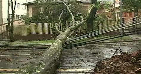 Bom Dia Brasil Temporal Com Ventos De 85 Kmh Derruba árvores E