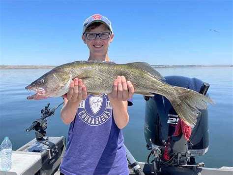 Walleye Fishing On The Columbia River Crfa