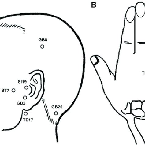 Acupuncture points selected in this study. (A) Local acupuncture points ...