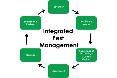 Building An Integrated Pest Management Plan Part Cannabis