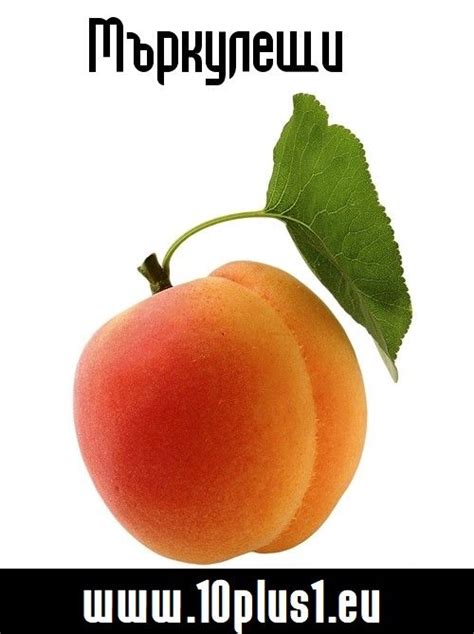 Сорт : Кайсия - Мъркулещи | Fruit, Food, Apricot
