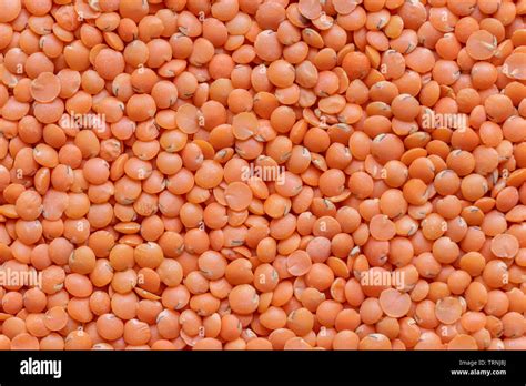 Masar Dal Hi Res Stock Photography And Images Alamy