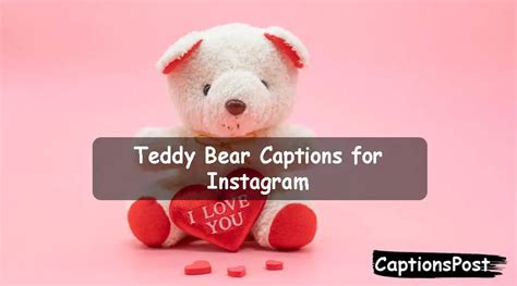 Teddy Bear Captions For Instagram Best Cute