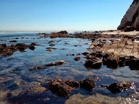 Tidal Pools Deadly Hacprint