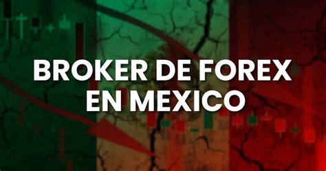 Broker De Forex En México Descubra Los 7 Mejores En 2024