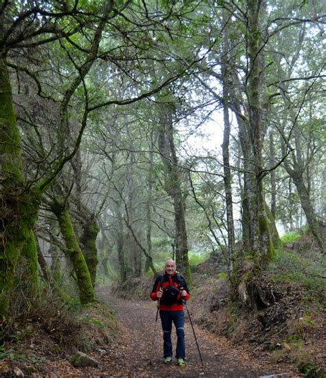 El Camino De Santiago Desde Asturias Ferreira Puente Romano Melide