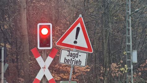 Revierübergreifende Drückjagd im Großen Wald Sinsheim Pressemeier