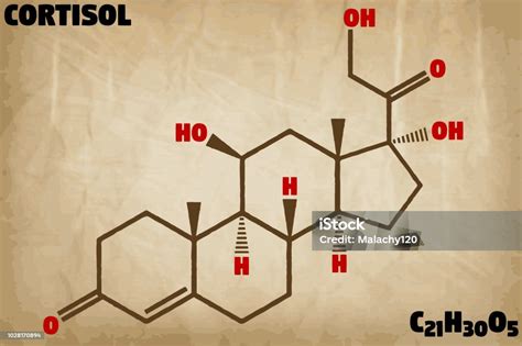 Vetores De Ilustração Detalhada Da Molécula De Cortisol E Mais Imagens