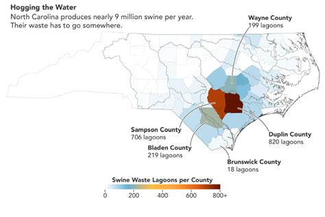 Harmful pig poop lagoons in North Carolina mapped from space | Space