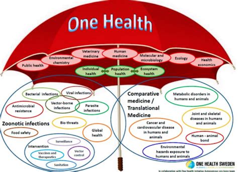 One Health Concept Explained UPSC GS 2 Notes