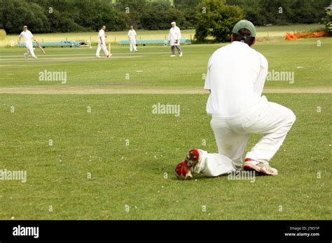 Sport Cricket Action Fielding Fotos Und Bildmaterial In Hoher