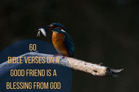 60 Best Bible Verses On A Good Friend Is A Blessing From God – Bible Verses of the day