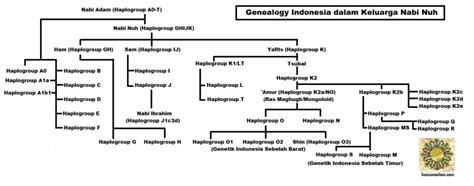 Jejak Nabi Nuh Dalam Gen Leluhur Nusantara Haplogroup O1am119