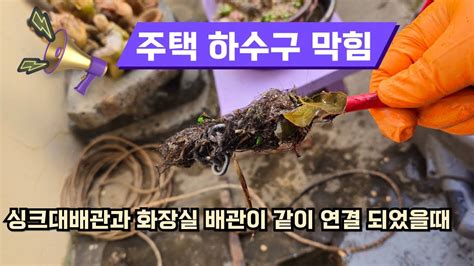 싱크대에서 물을 쓰면 화장실 하수구 에서 역류할 때 뚫는 방법 울산하수구 뚫는곳 주택배관 청소 YouTube