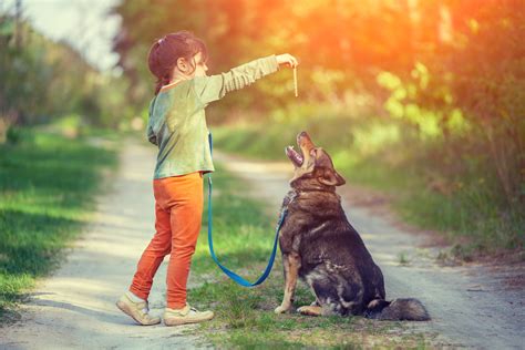 Le Saviez Vous Comment Le Chien Est Il Devenu Le Meilleur Ami De L