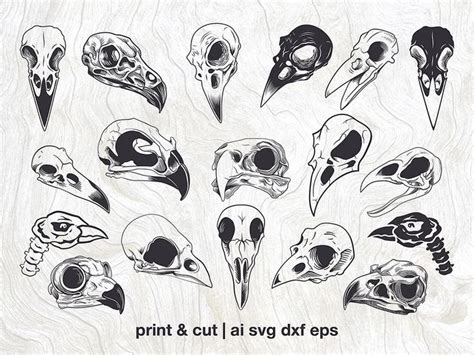 Bird Skull Tattoo Crow Skull Skull Art Animal Skull Tattoos Raven