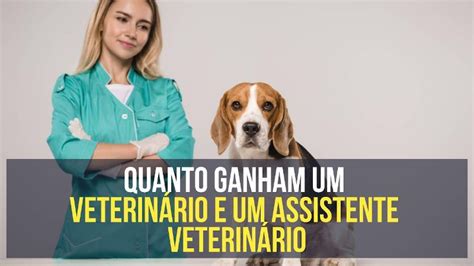 Quanto ganham um veterinário e um assistente veterinário no Brasil 2024