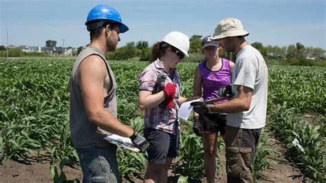 Study: Intensive Farming Methods Could Be Best Option for Environment ...