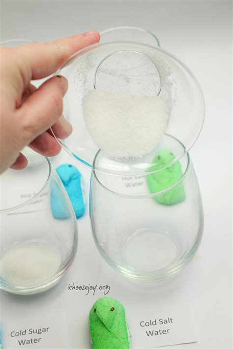 Dissolving Peeps Experiment Stem Activity For Eastertime