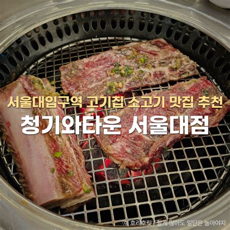 서울대입구역 고기집 소고기 맛집 추천 청기와타운 네이버 블로그