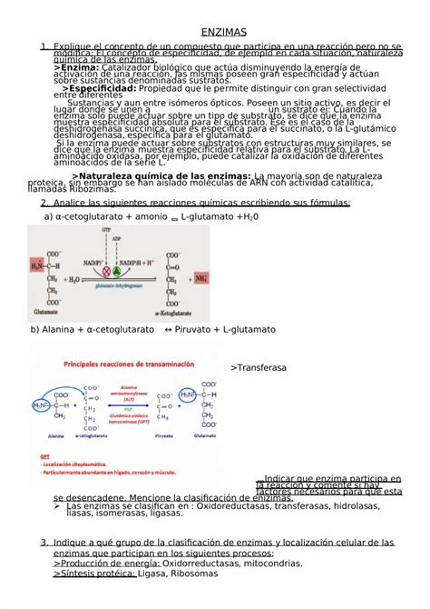 Pdf Preguntas Y Respuestas Sobre Enzimas Pdfslide Net