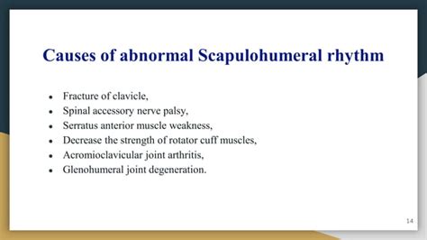 Scapulohumeral rhythm and exercises | PPT