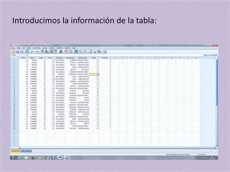 Seminario 5 Construir Una Matriz De Datos Con SPSS PPT