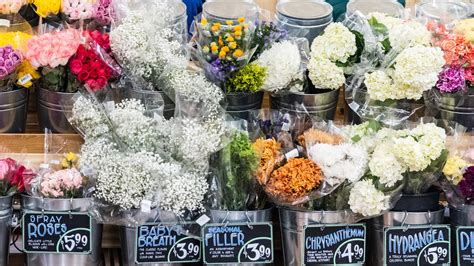 Why Trader Joe S Is One Of The Best Places To Score Gorgeous Hydrangeas