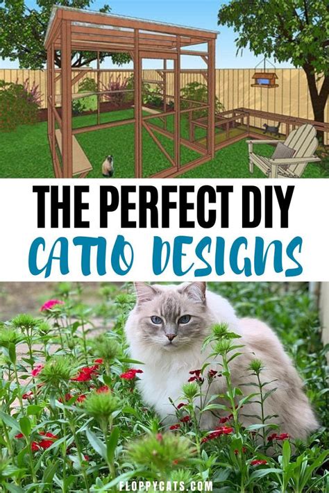 Outdoor Cat Run Outdoor Cat House House Backyard Outdoor Deck Diy