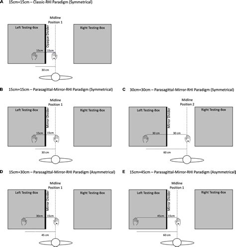 Frontiers Effects Of Symmetry And Apparent Distance In A Parasagittal