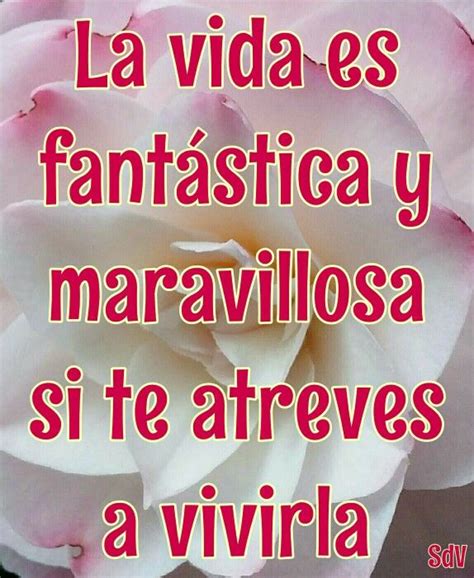 La Vida Es Fantástica Y Maravillosa Si Te Atreves A Vivirla Frases