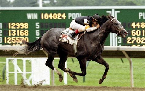 The day Holy Bull gave everything he had to win the Travers | Topics ...