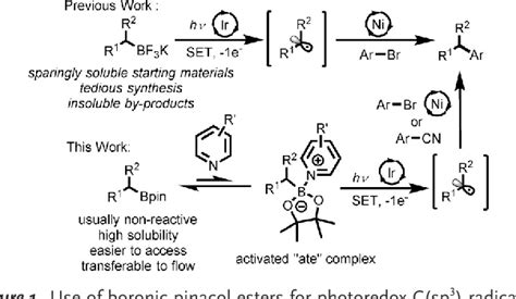 Figure 1 From Visible Light Activation Of Boronic Esters Enables