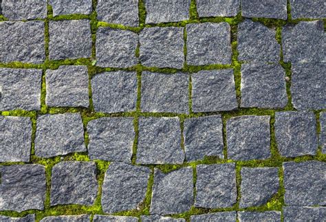 Mossy Cobblestone Texture