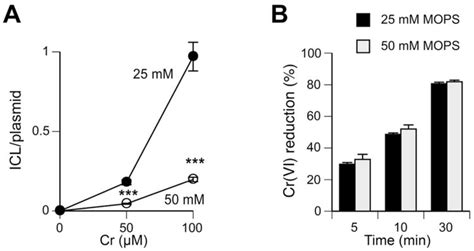 Chromiumvi Causes Interstrand Dna Cross Linking In Vitro But Shows No