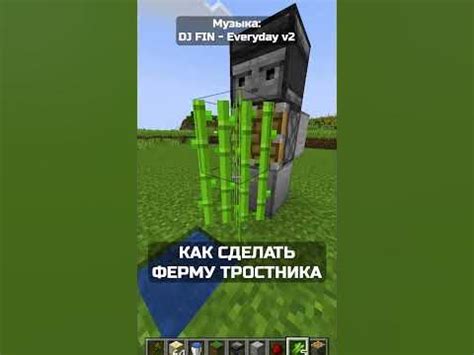ФЕРМА ТРОСТНИКА🤩 #minecraft #выживание #майнкрафт - YouTube