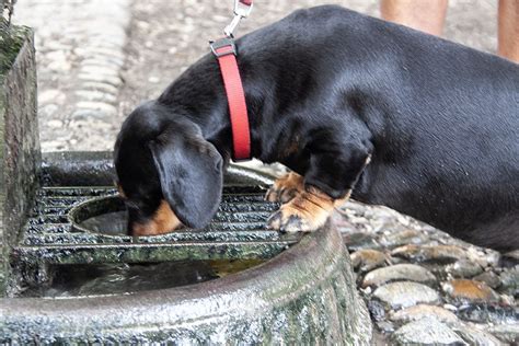 Gradi Percepiti Atteso Per Oggi Il Picco Del Caldo Poi Temporali