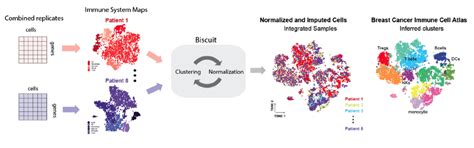 Single Cell Map Of Diverse Immune Phenotypes Driven By The Tumor