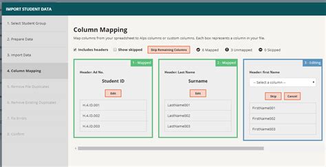 Mapping Columns