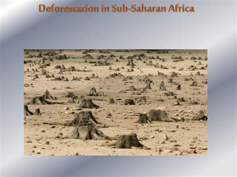 PPT - AFRICA CURRENT PROBLEMS Water Issues Deforestation ...