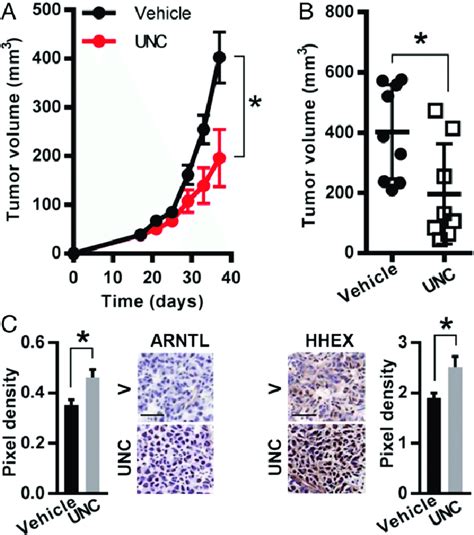 Effect Of G9a Inhibition On Tumor Growth In Vivo A Growth Curve Of