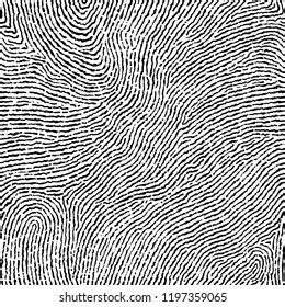 Fingerprint Seamless Background On Square Shape Stock Vector Royalty