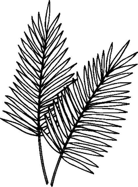 Palm Leaf Coloring Page At Free Printable Colorings