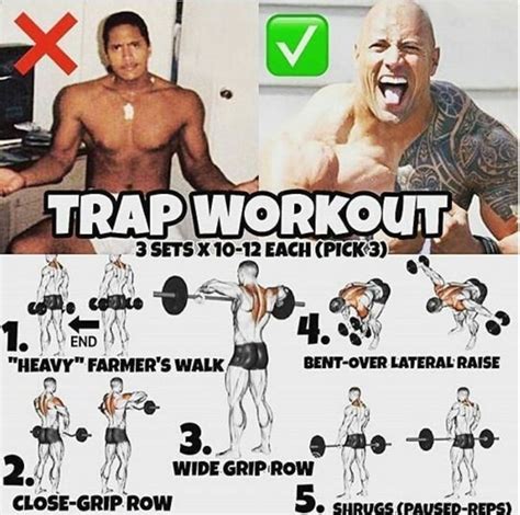 The Rock Workout Plan Bodybuilding