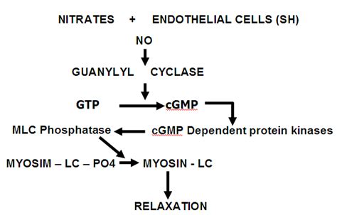 Organic Nitrates – howMed