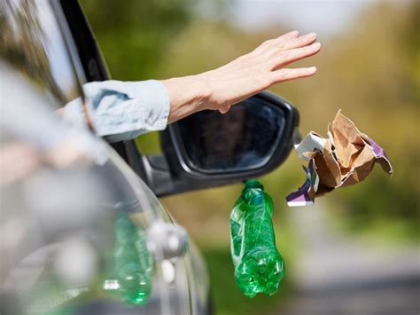 ¿cuál Es Multa Por Tirar Basura En La Calle