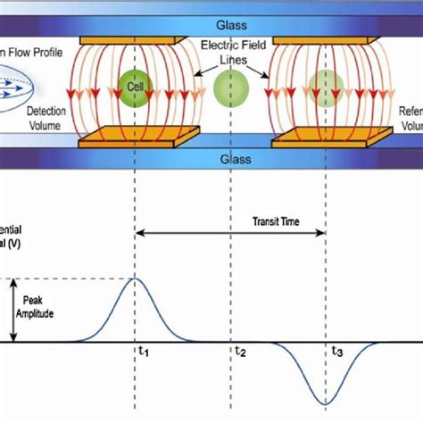 Diagram Showing The Design Of A Typical Impedance Micro Cytometer Used