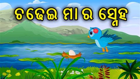 Chadhei Maa Ra Sneha Birds Story Odia Gapa Odia Birds Story