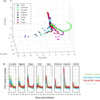 Fluxes mmol g À1 DW D À1 calculated at 30 stages of fruit