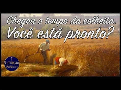 É Chegado O Tempo Da Colheita Versículo - CHEGOU O TEMPO da colheita. Você está pronto? Liturgia Diária - Arautos ...